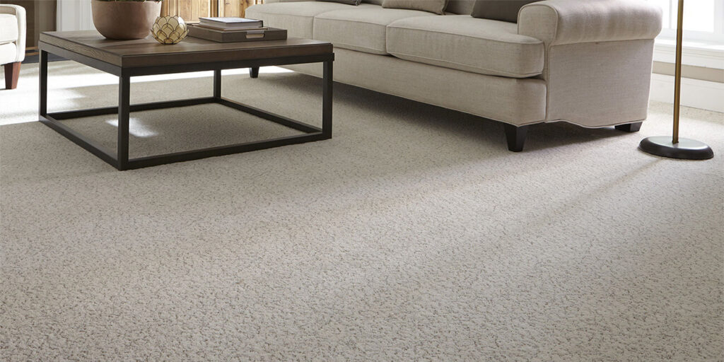 Elegant Full Coverage Carpet