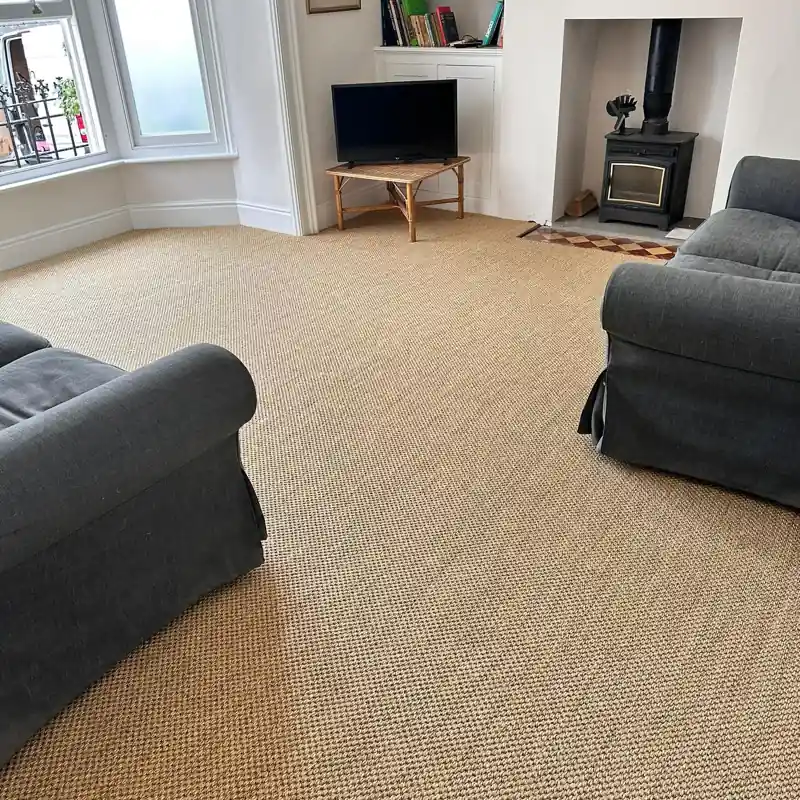Living Room Sisal Carpets