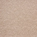 Wall to wall Carpet texture