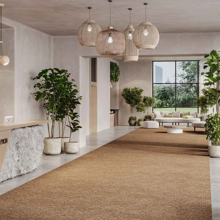 barkeny sisal carpet